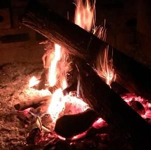 Meet your Posher, Louise